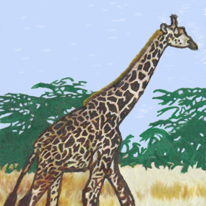 Giraffe